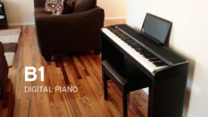 پیانو دیجیتال Korg B1 در audioshop